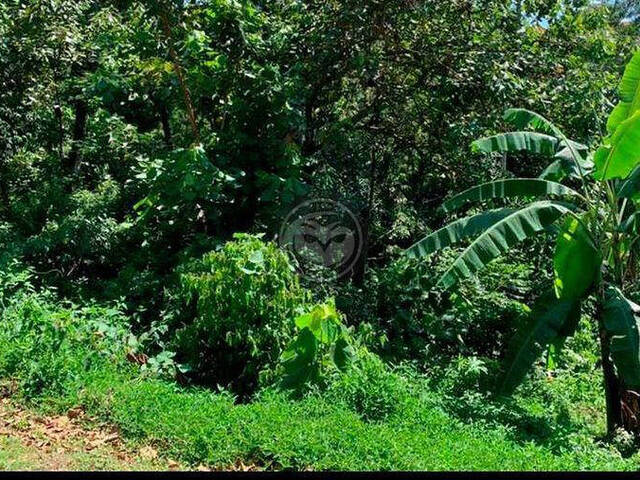 #13001 - Terreno em condomínio para Venda em Santana de Parnaíba - SP - 3