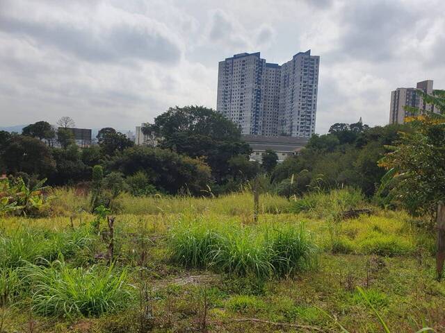 Terreno para Venda em Osasco - 5